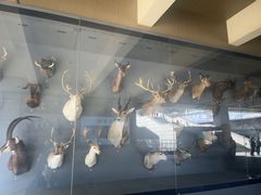 -陕西自然博物馆