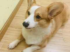 -韩通韩国语学院(虹口校区)