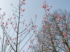 -狼山风景名胜区