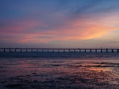 -宝安西湾红树林湿地公园