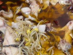 -金三可市井水煮鱼(金碧园店)