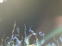 -第35届青岛国际啤酒节