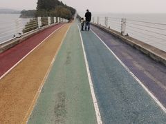 -贡湖湾湿地公园
