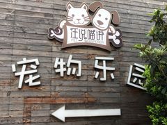 -汪说喵讲宠物乐园宠物酒店(红星美凯龙店)