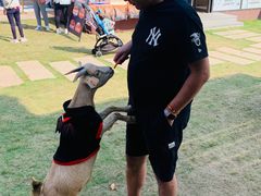 -太阳岛度假酒店