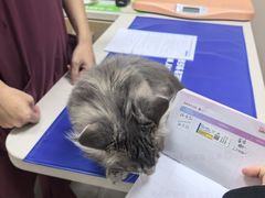 -瑞鹏宠物医院·骨外科·心肾科·肿瘤科(九亭店)