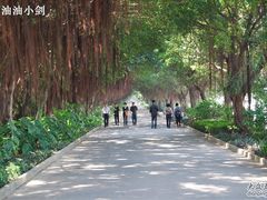 -大湾区中央湿地公园