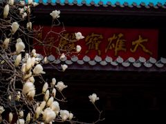 -灵谷景区
