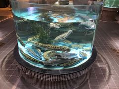 -观澜湖酒店·邀月庭中餐厅