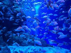 -成都浩海立方海洋公园