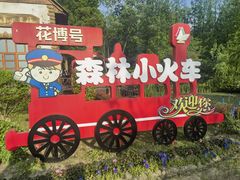 -东平国家森林公园