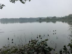 -东湖落雁景区