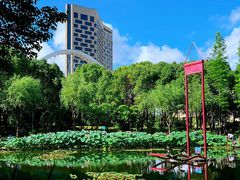 -陈家山荷花公园