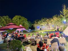 -上海崇明金茂凯悦酒店