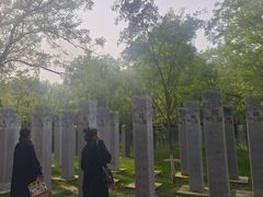 -大槐树寻根祭祖园
