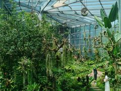 -东莞植物园