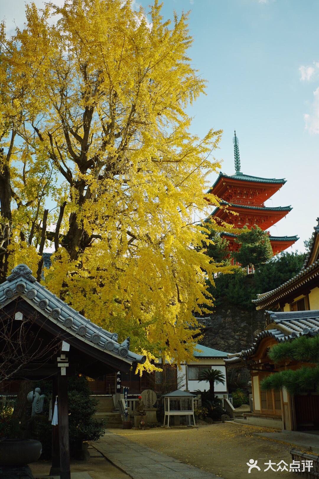 不知名而美的日本古寺