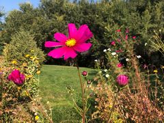 -渔公馆·川菜馆·家宴·生日宴(大地中央广场店)