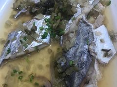 -劲莲舟山海鲜(东书房路店)