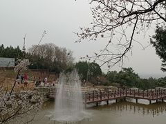 -北京西山国家森林公园