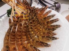 -红雀围·海鲜火锅(陆家嘴中心店)