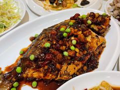 -金春禧(世茂国际广场店)