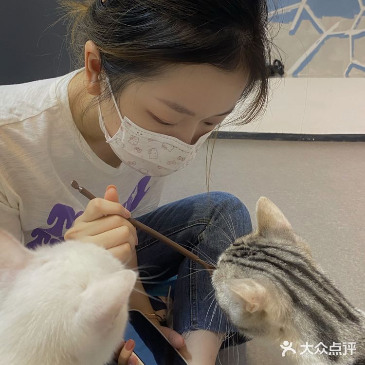 这是温州隐藏猫咖吗？！