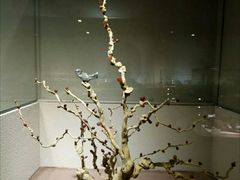 -陕西自然博物馆