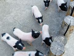 -水上乐园·欢乐世界