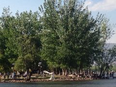 iphone_upload_pic-西昌邛海湿地