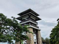 -大湾区中央湿地公园