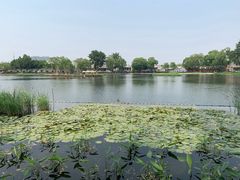 -后海公园