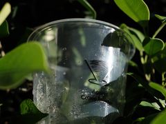 -Again Coffee Roaster(香蜜湖店)