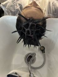 -丝语萱形象