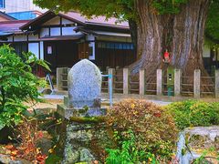-医王山·飞騨国分寺