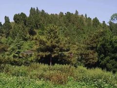 -茂陵博物馆