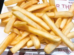 薯条-The Habit Burger Grill 哈比特汉堡(爱琴海店)