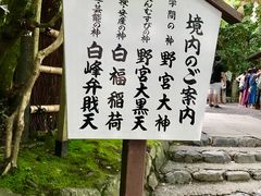 -野宫神社
