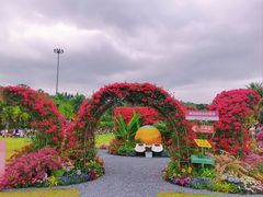 -莲花山公园