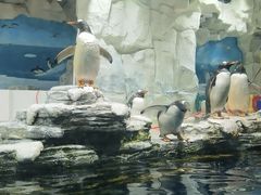 -华夏文旅海洋公园