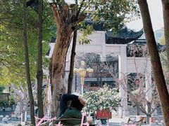 -龙潭水乡