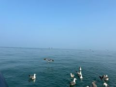 -大连金石滩国家旅游度假区