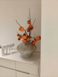 -安那般那皮肤年轻化ANAPANA