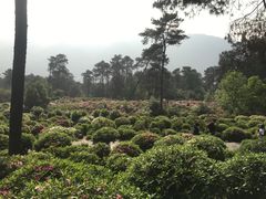 -南山植物园