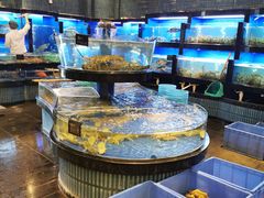 海鲜池-沙龙酒家