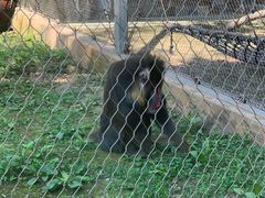 -哈尔滨北方森林动物园