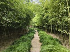 -上海方塔园