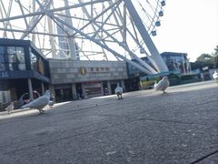 -南昌之星摩天轮