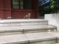 -四川大学(望江校区)