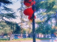-天一料理(荔枝广场店)